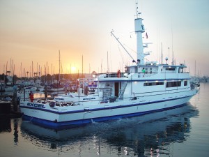 XLsunrise4SD8-9-02PS300