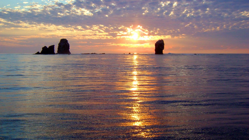 erics 102 copy